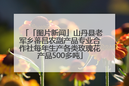 「图片新闻」山丹县老军乡蕃昌农副产品专业合作社每年生产各类玫瑰花产品500多吨